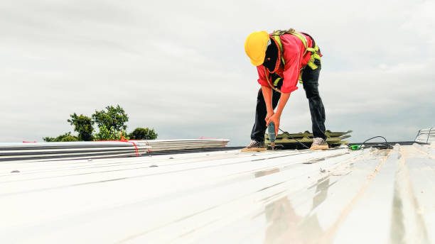 Gutter Replacement in St Jaco, IL